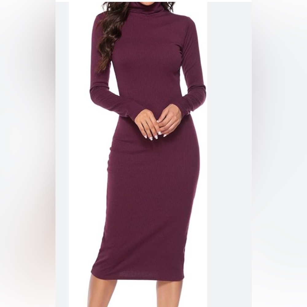 Express turtleneck long sleeve sweater midi dress.